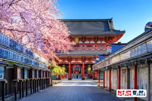 inspiration from japan