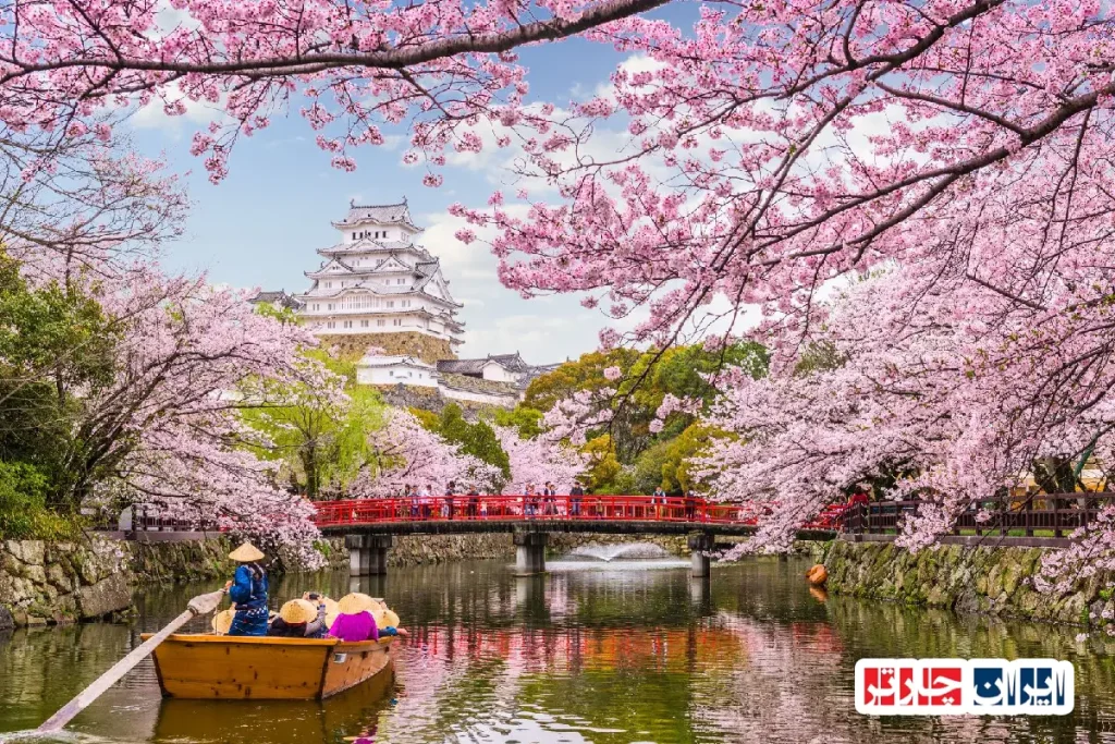 inspiration from japan