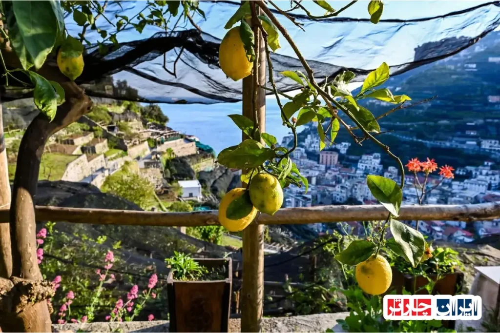 Amalfi Maiori Coastal Cafes
