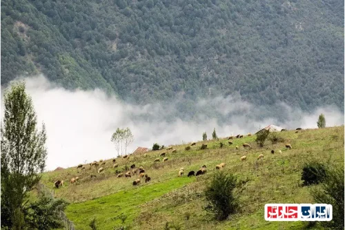 کشف گنجینه فرهنگ و مناظر بکر در دل تاریخ ترکمنچای
