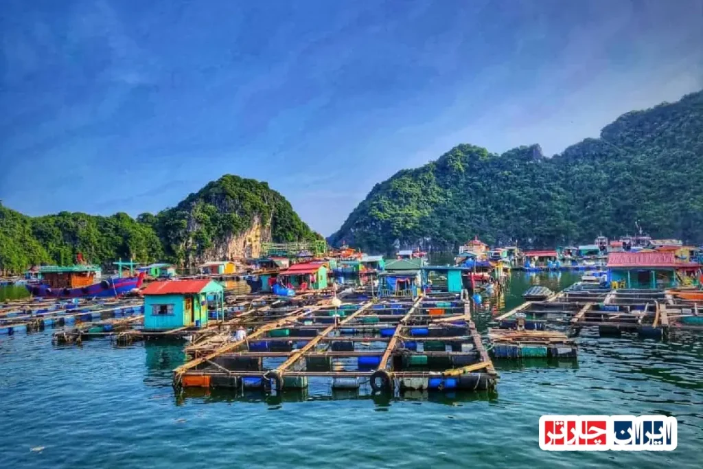 Ha Long Bay Floating Villages
