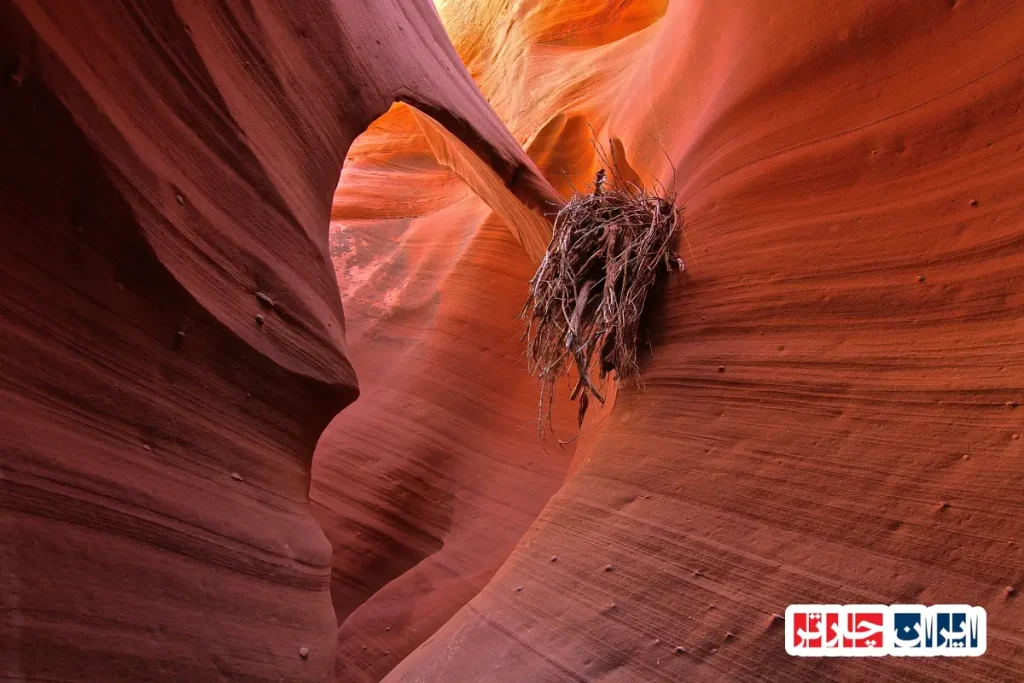 Antelope Canyon Photography Tours