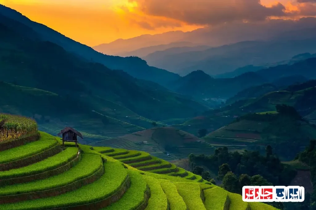 Banaue Rice Terraces