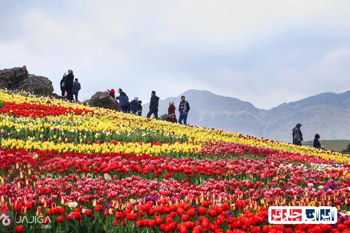 sample Featured image