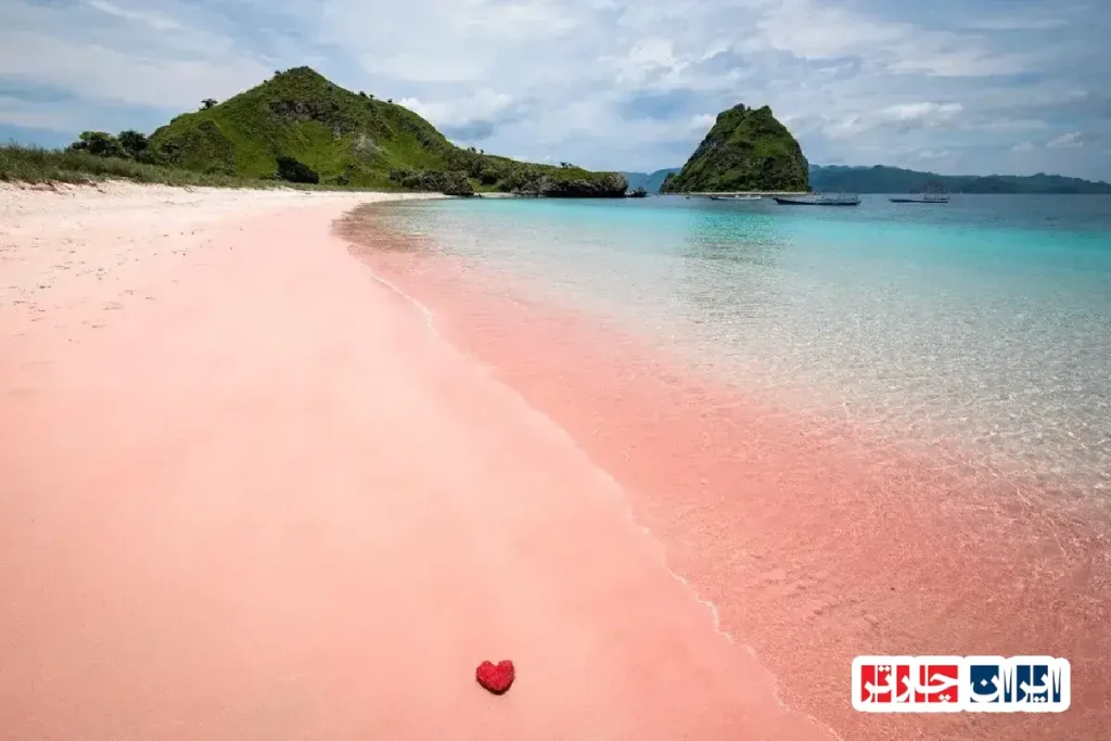 Komodo Island Pink Beach