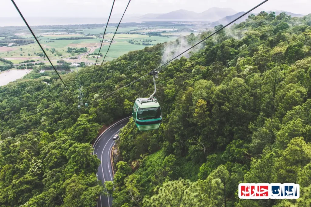 Otway Fly Treetop Adventures