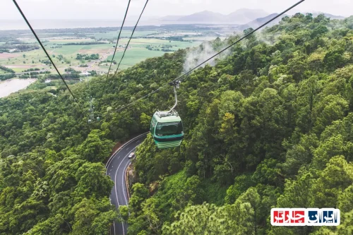 Otway Fly Treetop Adventures