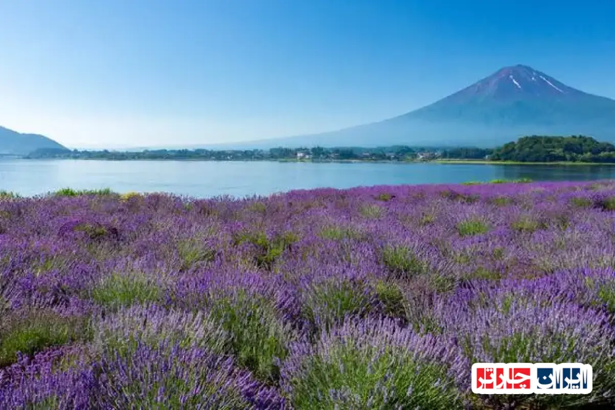 دریای کوماگوچی، جواهر طبیعی یاماناشی