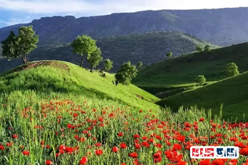 دشت ارژن: نگینی سبز در قلب فارس
