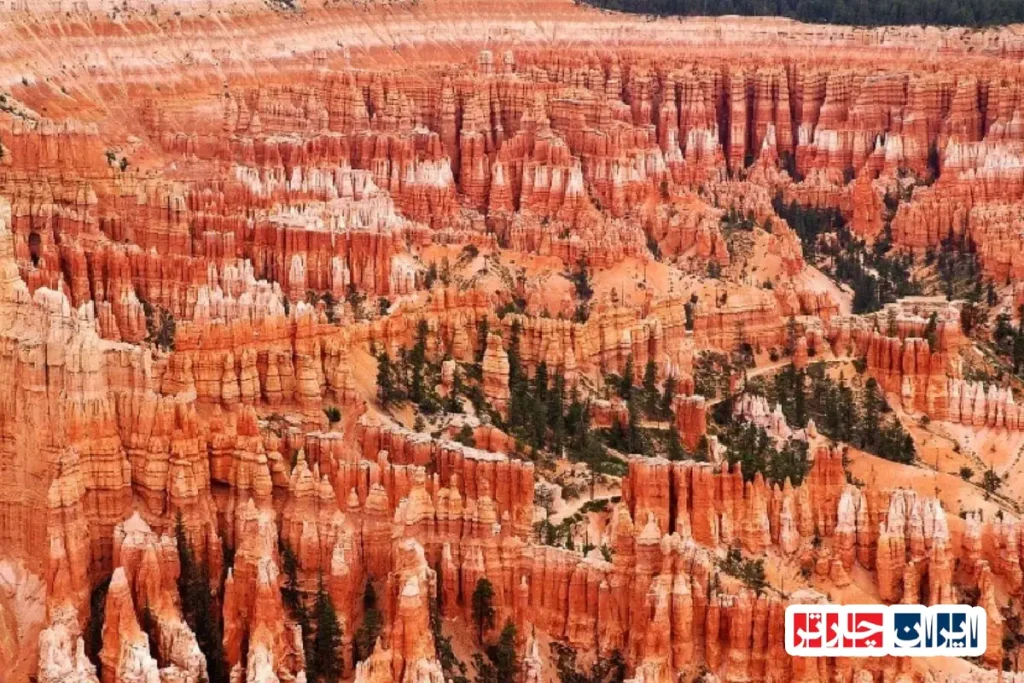 Bryce Canyon Overlook Reflections