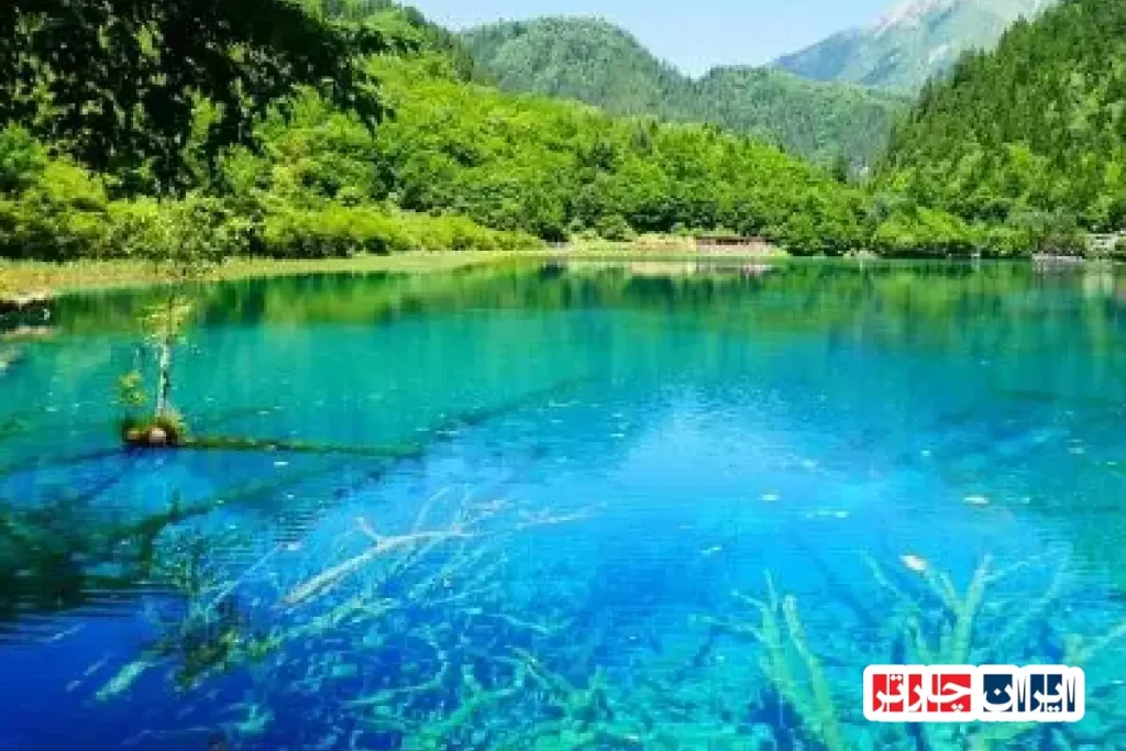 سفری به دنیای اسرارآمیز طبیعت: کشف جادوی Jiuzhaigou Valley Nature Reserve