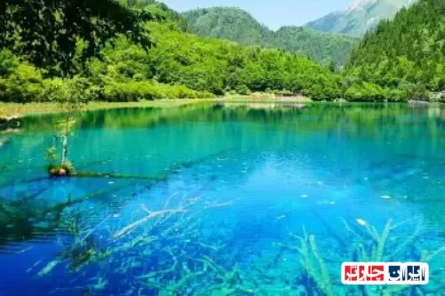 سفری به دنیای اسرارآمیز طبیعت: کشف جادوی Jiuzhaigou Valley Nature Reserve