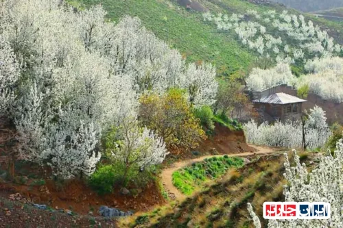 طبیعت شمال