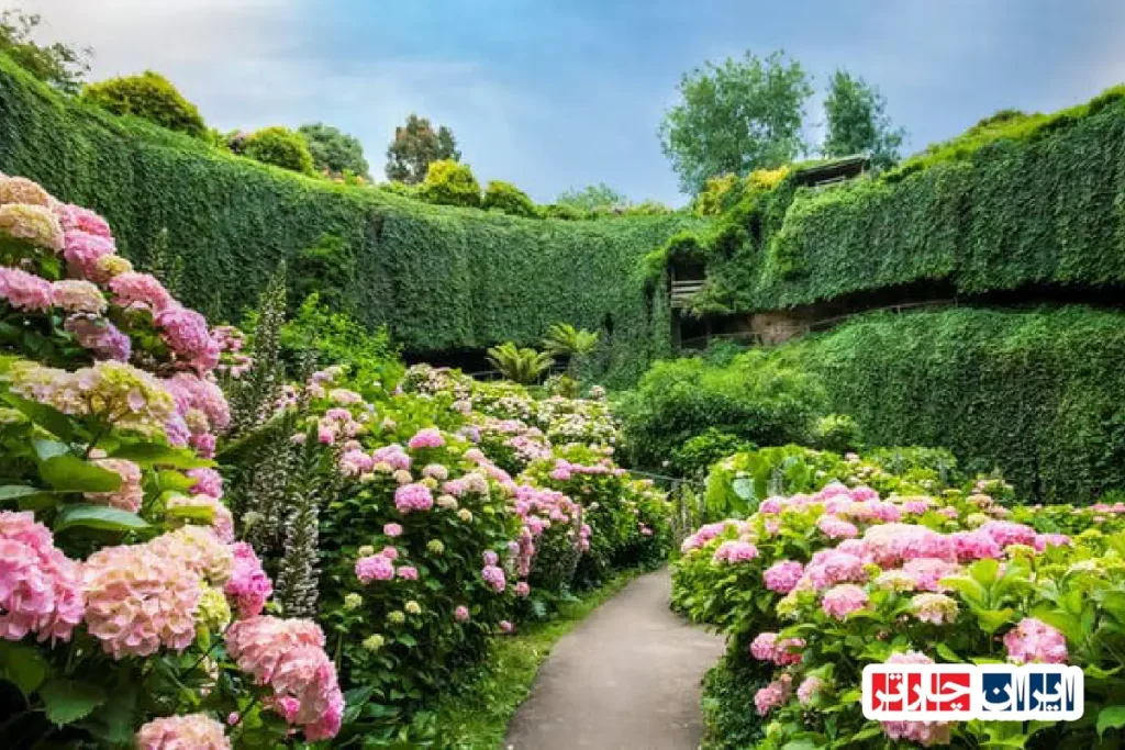 فروچاله مونت کمبیه‌یر، جاذبه‌ای منحصربه‌فرد در استرالیای جنوبی