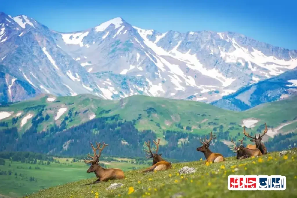 پارک کوه‌های سنگی در دل طبیعت کلرادو