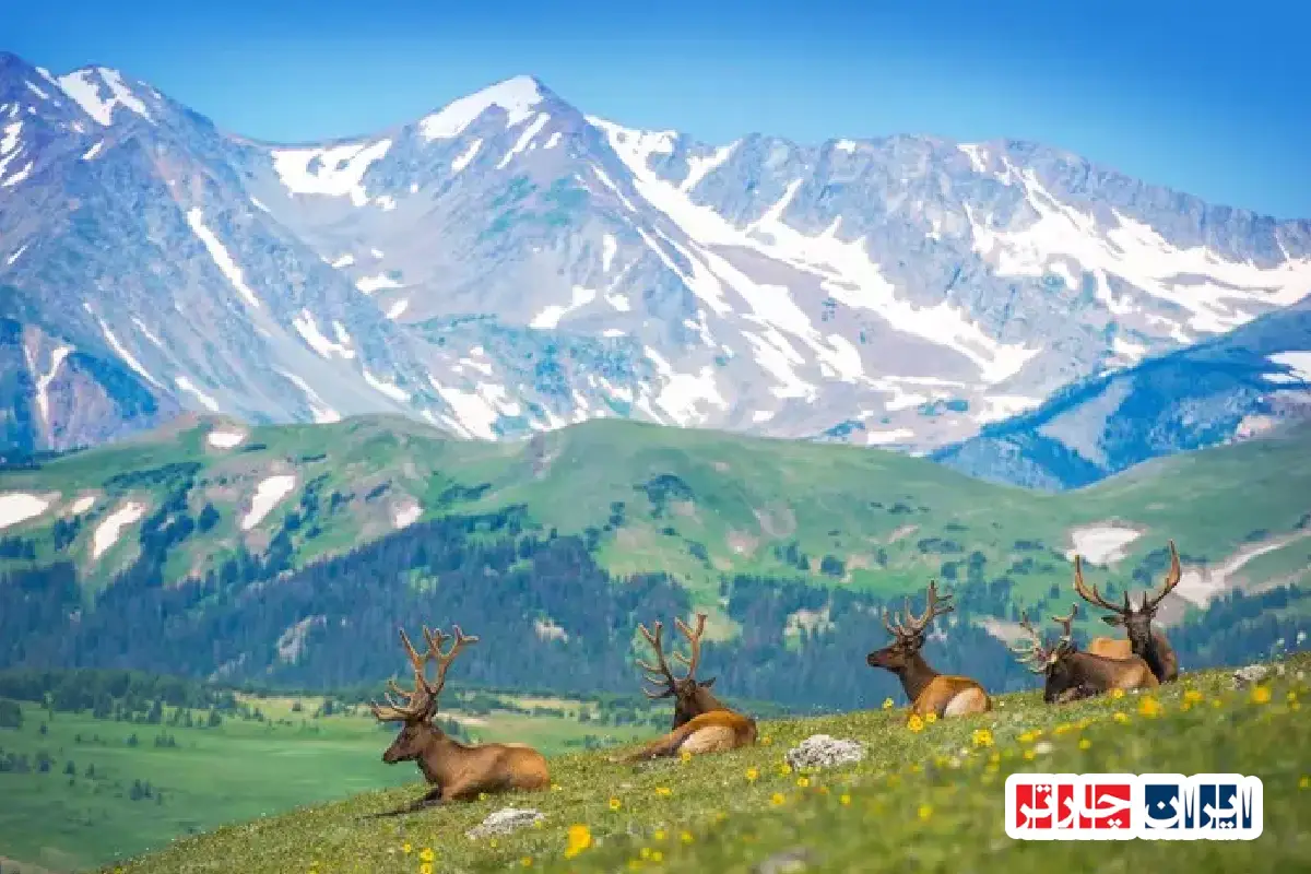 پارک کوه‌های سنگی در دل طبیعت کلرادو