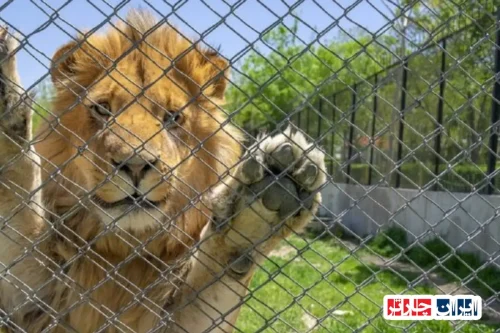 کشف رازهای طبیعت و حیات وحش در باغ وحش مشهد
