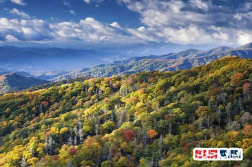 کشف غارهای دودکش بزرگ در قلب پارک ملی اسموکی