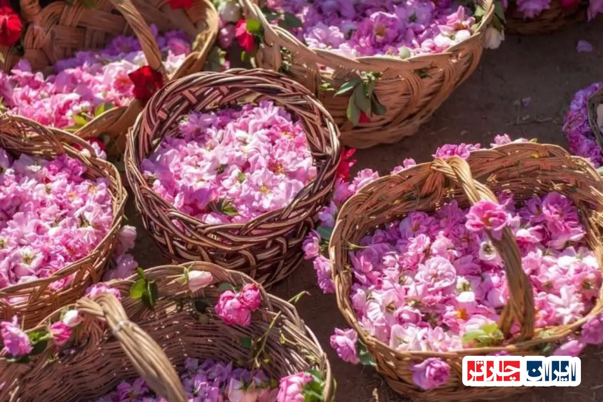 جشنواره های ایران