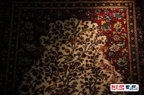 گنجینه‌ای زیر پا: تماشای فرش‌های نفیس کاخ گلستان