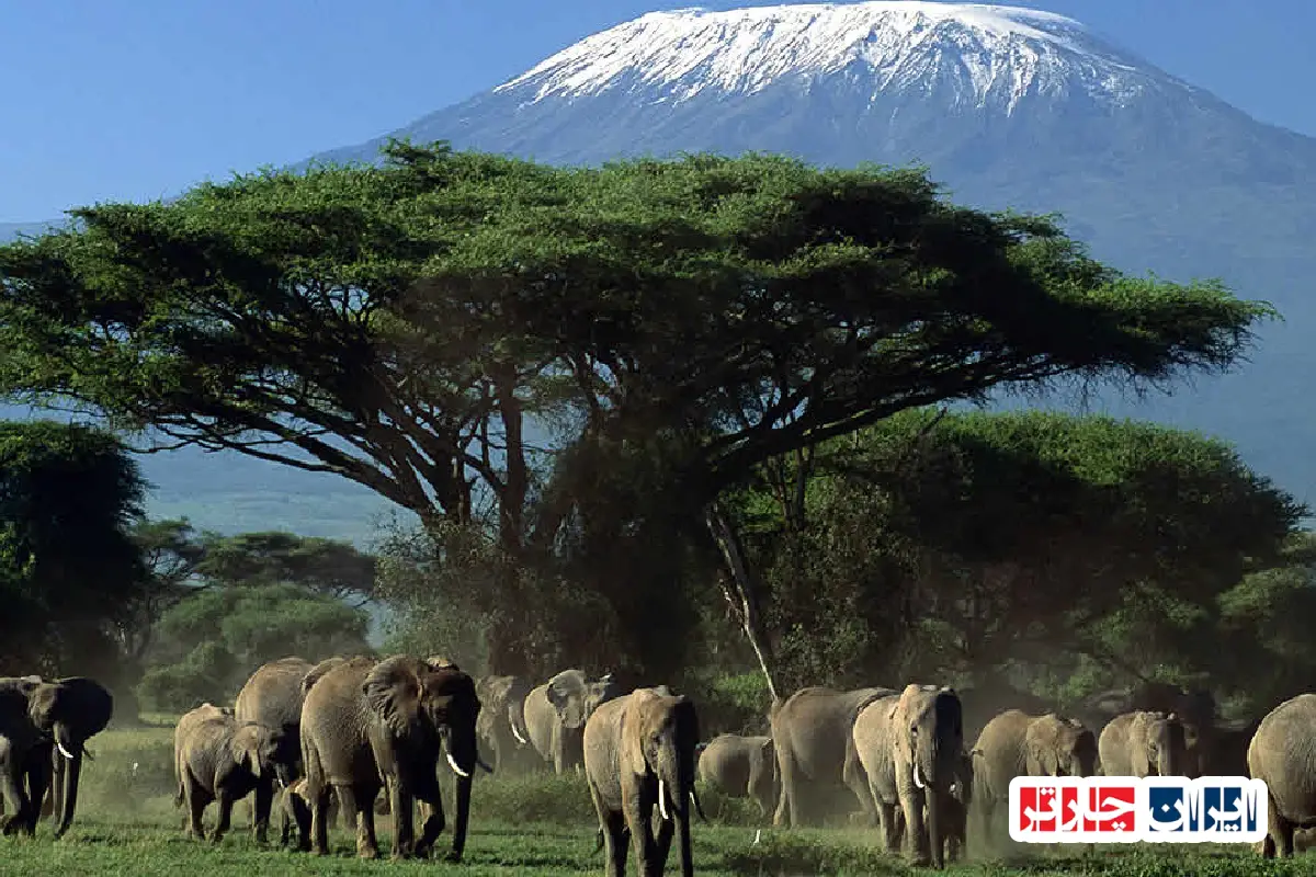 Amboseli National Park