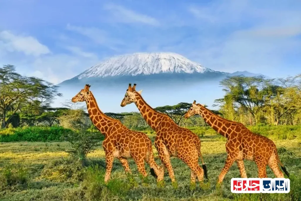 Amboseli National Park
