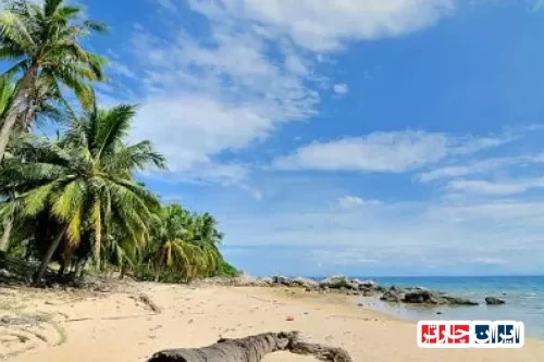 Cu Lao Cham Marine Park Quang Nam Province: Discover Vietnam's Stunning Underwater Paradise