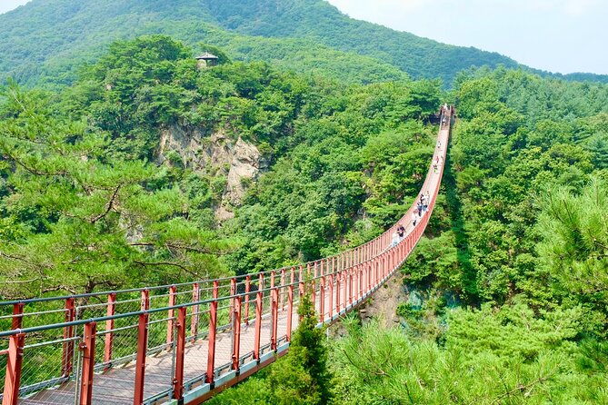 DMZ Tour-Demilitarized Zone-South Korea