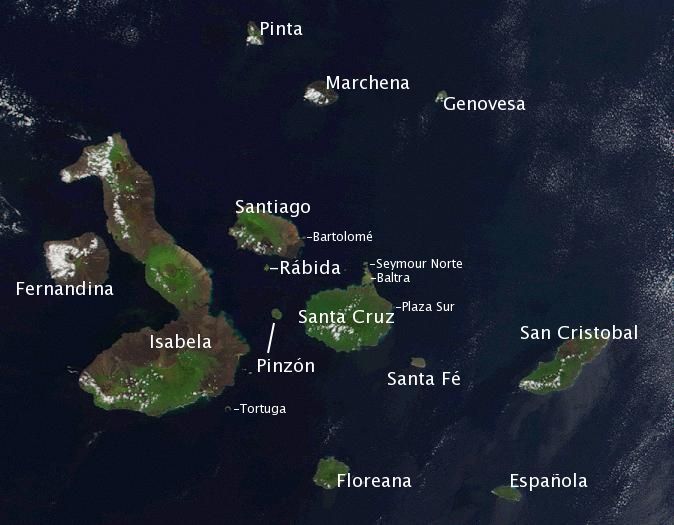 Galápagos Islands-Galápagos Province-Ecuador