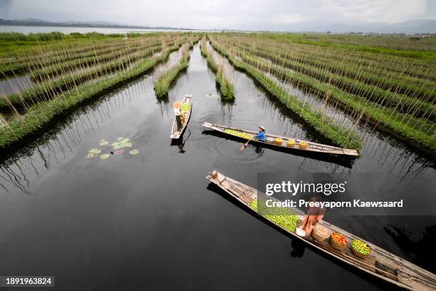 Inle Lake Floating Gardens-Shan State-Myanmar