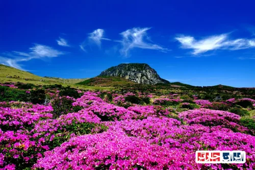 Jeju Island Hallasan Mountain