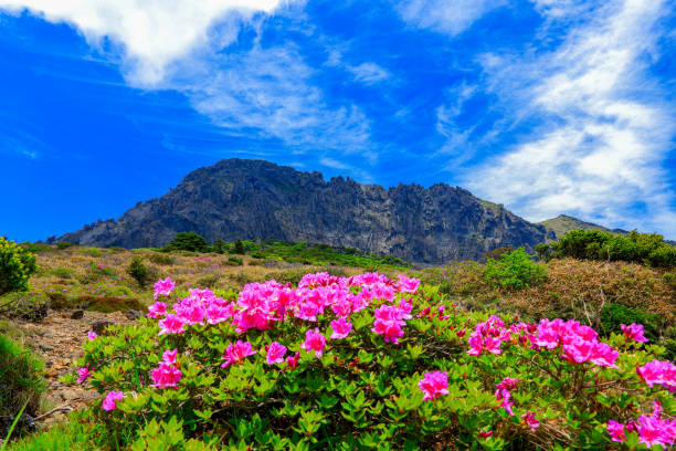 Jeju Island Hallasan Mountain-Jeju-South Korea