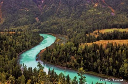 Kanas Nature Reserve in Xinjiang: Discover the Unique Natural Beauty