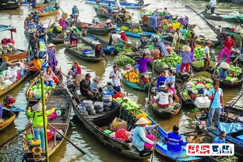 Mekong Delta Floating Markets Can Tho: Ultimate Guide to the Best Floating Market Experience