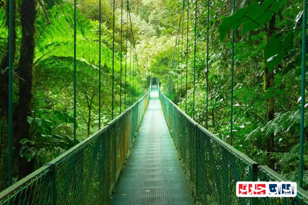 Monteverde Cloud Forest
