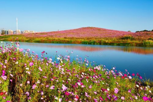 Mount Daqing: Discover the Natural Beauty of Heilongjiang Province