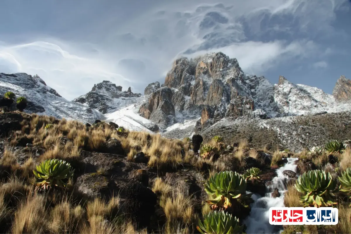 Mount Kenya Climbing