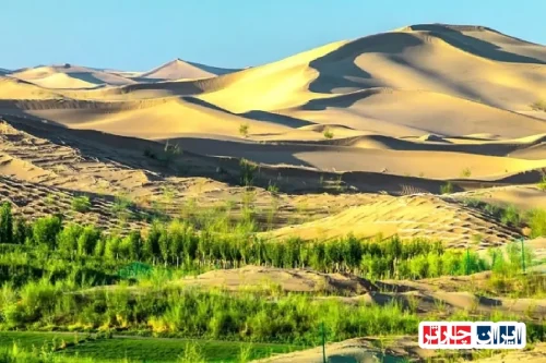 Ordos Desert