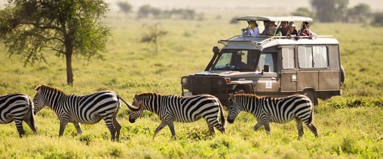 Ruaha National Park-Iringa Region-Tanzania