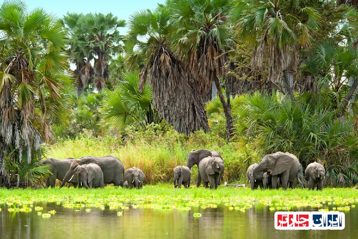 Selous Game Reserve