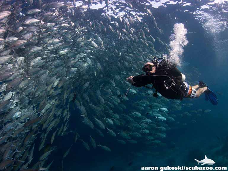 Sipadan Island Diving-Sabah-Malaysia