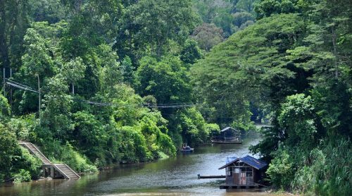 Taman Negara National Park-Pahang-Malaysia