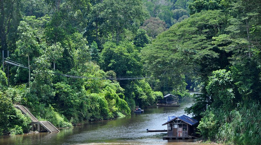 Taman Negara National Park-Pahang-Malaysia
