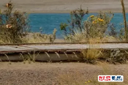 Valdes Peninsula Wildlife: Discover Unique Biodiversity in Chubut Province