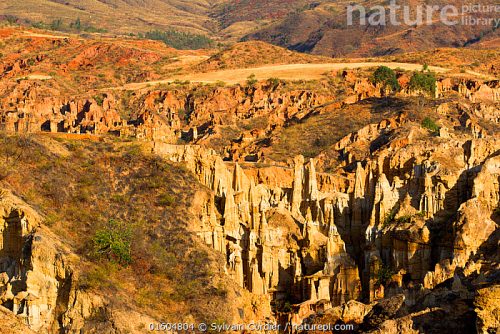 Yuanmou Earth Forest in Yunnan Province: Natural Wonder of China