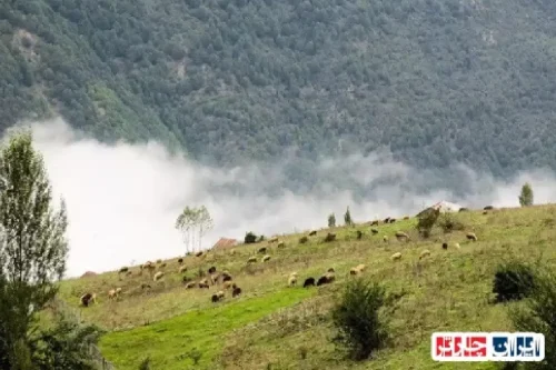 تجربه‌ای نو از تاریخ و زیبایی‌های بکر در دل روستای برغان