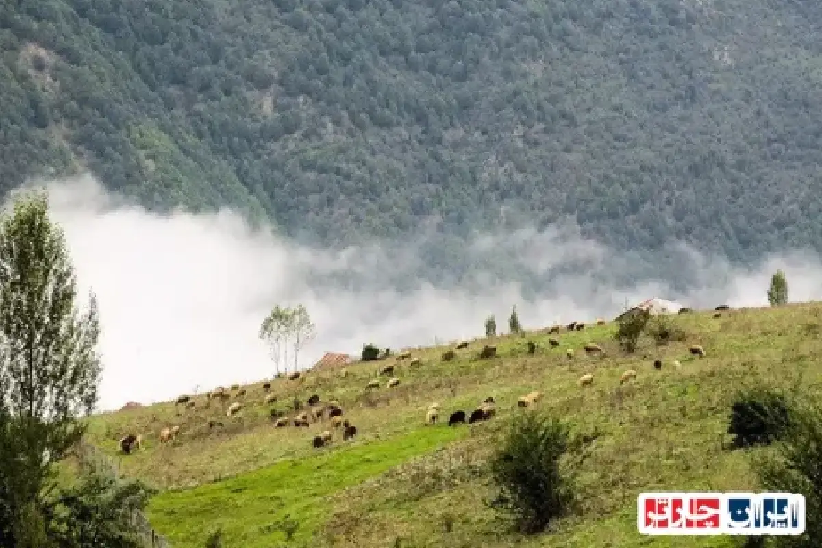 تجربه‌ای نو از تاریخ و زیبایی‌های بکر در دل روستای برغان
