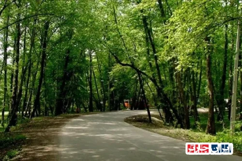 جاذبيات رامسر السياحية: مدينة العرائس في إيران