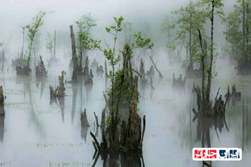 Ghost Lake