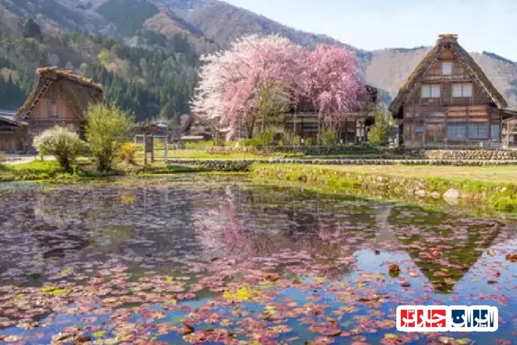 روستاهای تاریخی شیرواکاوگا، میراثی زنده در دل ژاپن